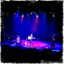 Laurie Levine - Live Photos- Various